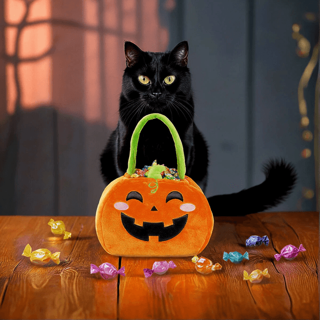 Borsa per Dolcetto o Scherzetto - Trick or Treat LEGAMI